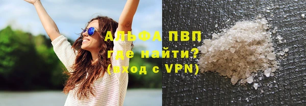 сатива Абинск