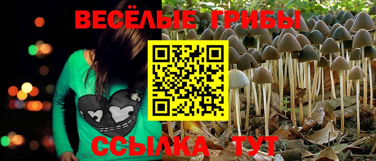 Псилоцибиновые грибы мухоморы Лабытнанги